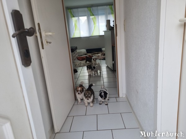 R-Wurf-5te-Woche-23-083