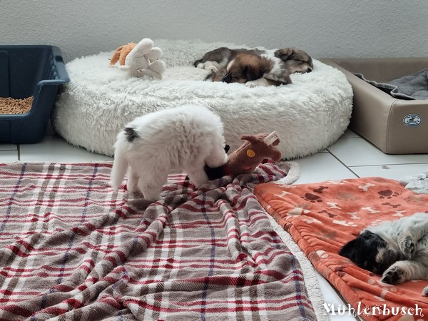 R-Wurf-5te-Woche-23-141