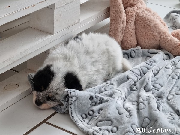 R-Wurf-5te-Woche-23-142